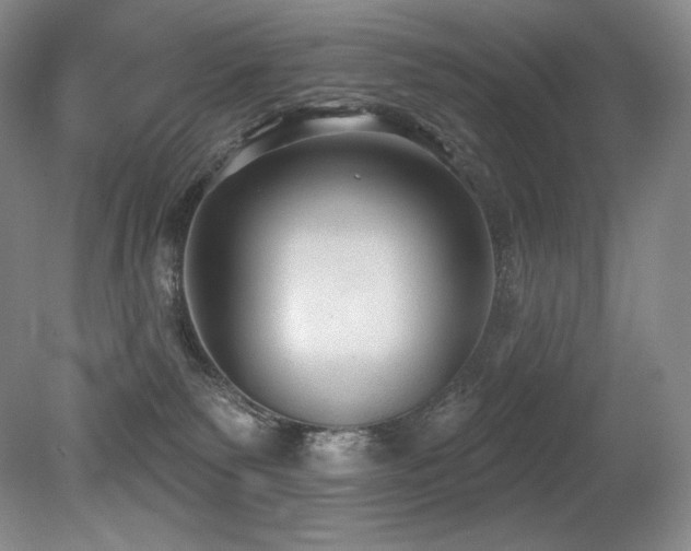 X0000079290135200611171101