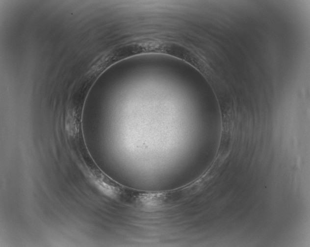 X0000079290136200611171101