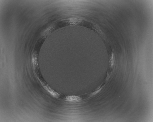 X0000079290137200611171101
