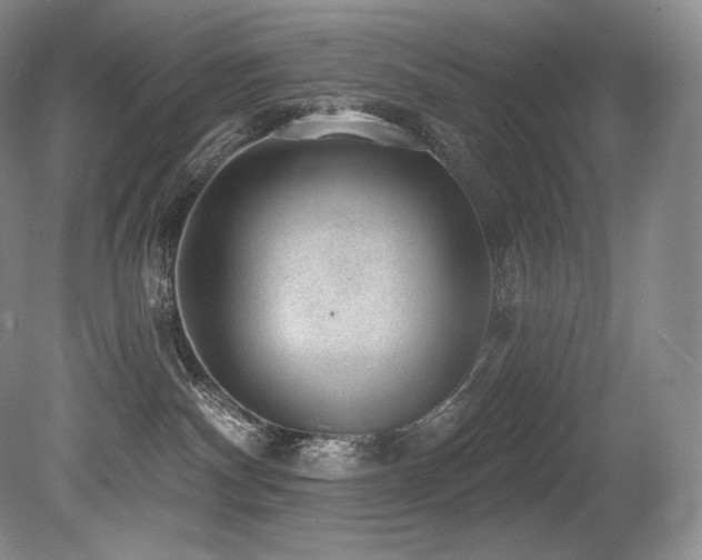 X0000079290140200611171101