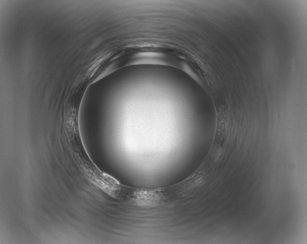 X0000079290141200611171101