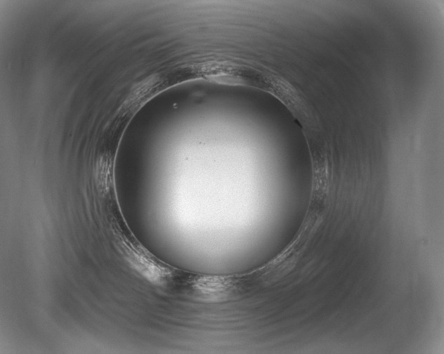 X0000079290142200611171101