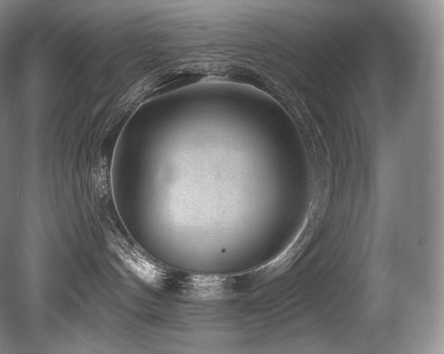 X0000079290144200611171101