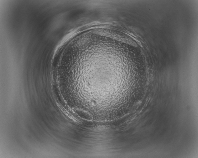 X0000079290149200611171100