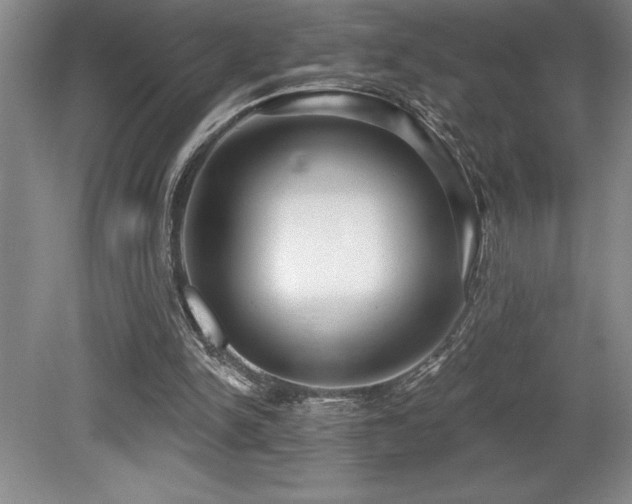 X0000079290150200611171100