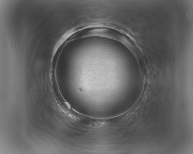 X0000079290152200611171100