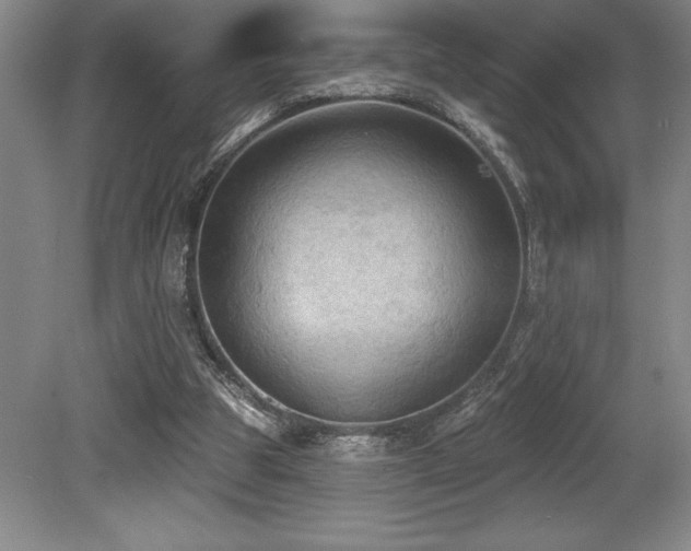 X0000079290153200611171100