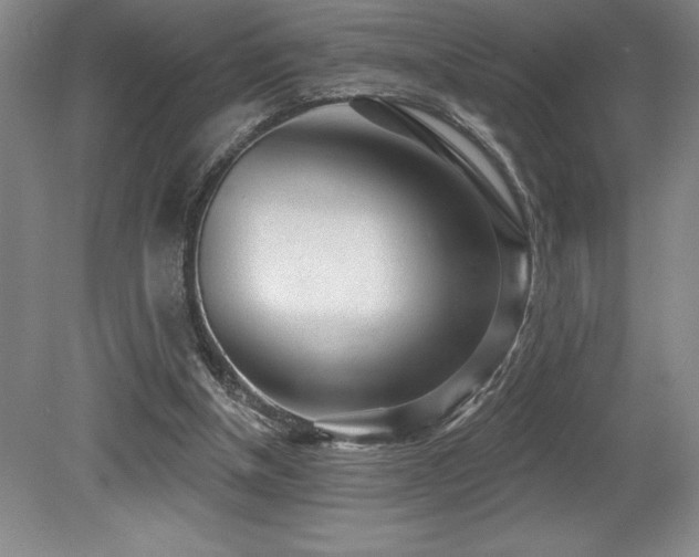 X0000079290154200611171100