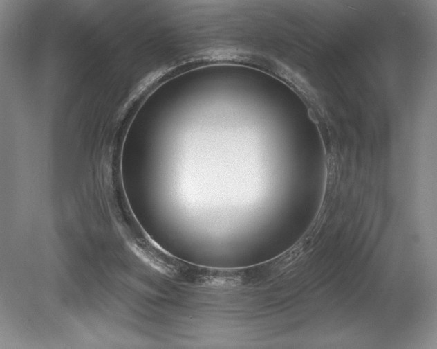 X0000079290155200611171100