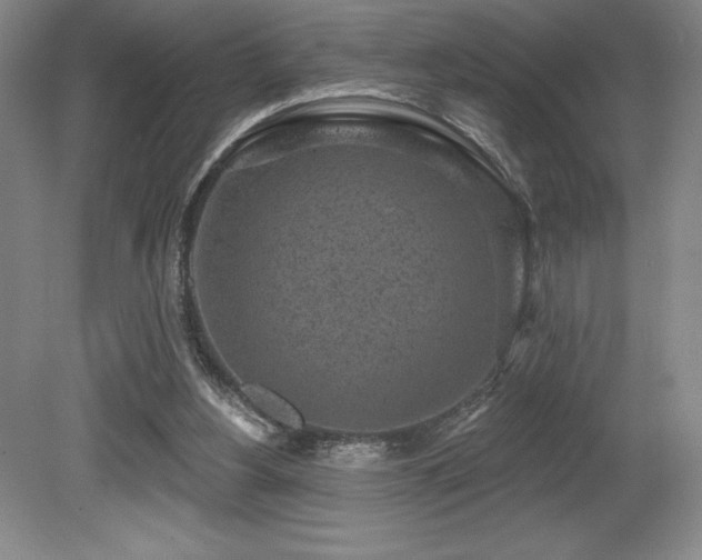X0000079290156200611171100