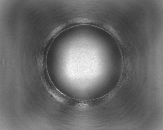 X0000079290159200611171100