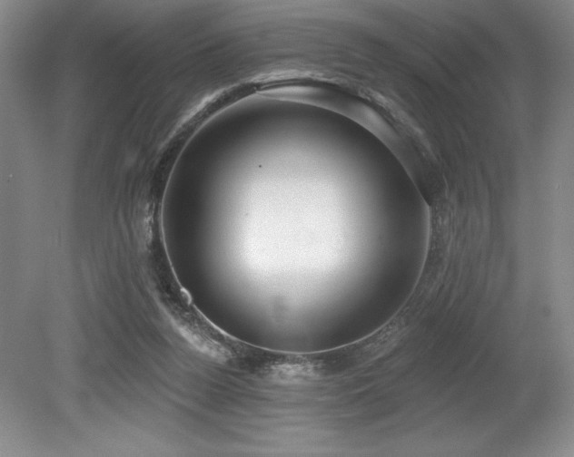 X0000079290160200611171100