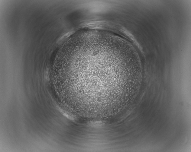 X0000079290161200611171100