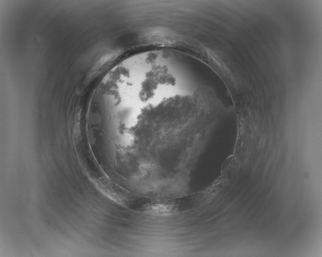 X0000079290163200611171100