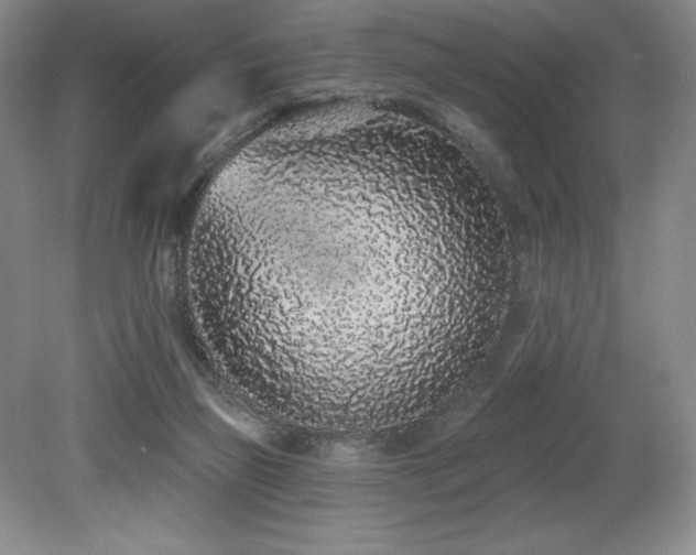 X0000079290165200611171100