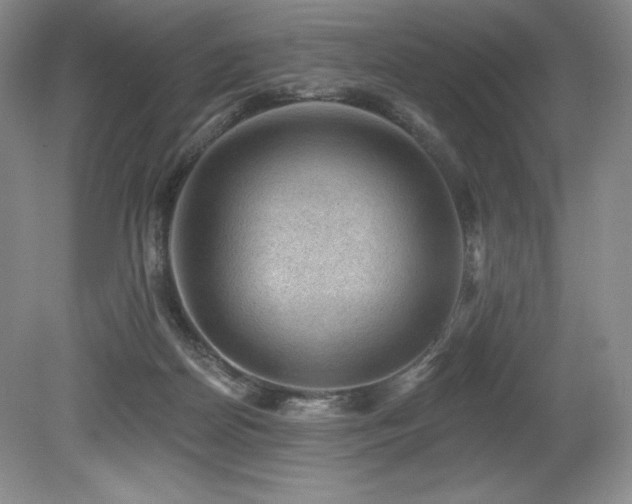 X0000079290170200611171100