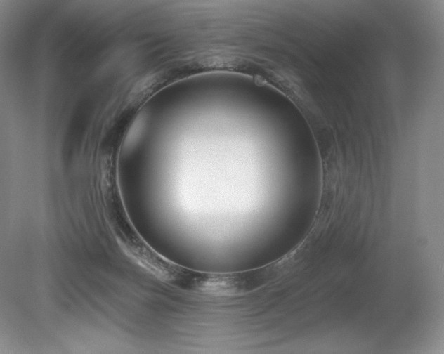 X0000079290171200611171100