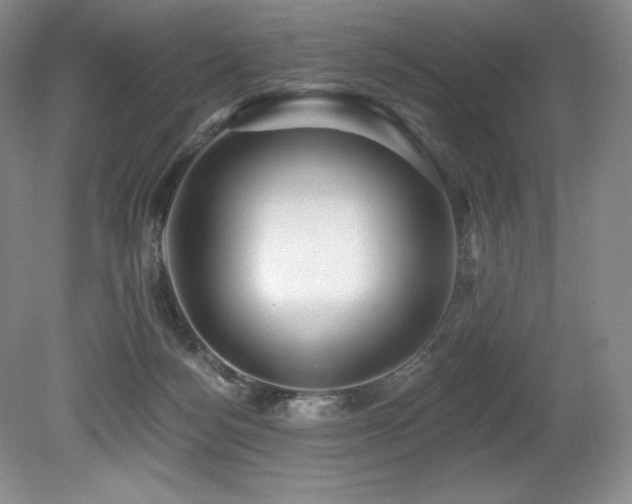 X0000079290172200611171100