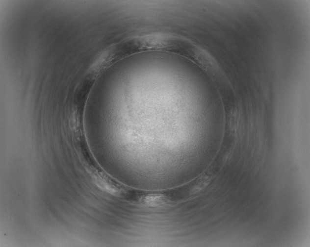 X0000079290173200611171100