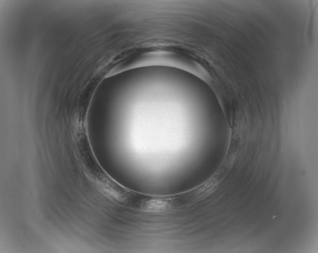 X0000079290176200611171100