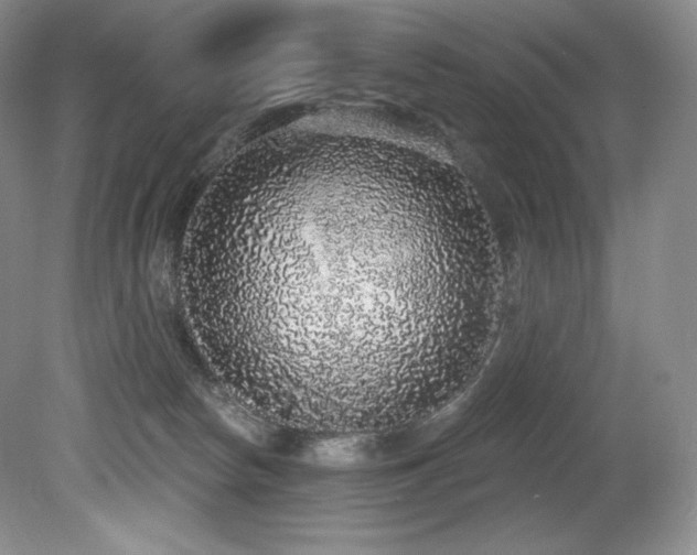 X0000079290178200611171101
