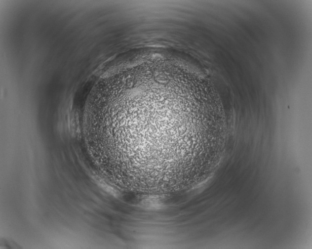 X0000079290182200611171101