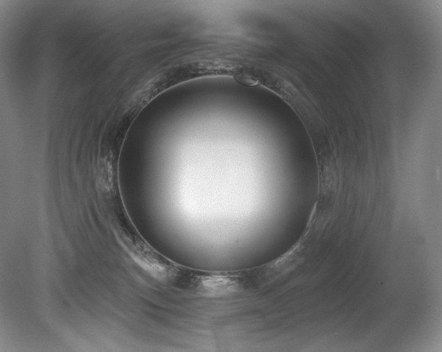 X0000079290183200611171101