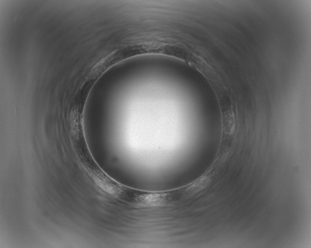X0000079290184200611171101