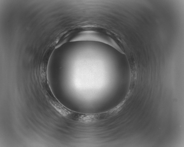 X0000079290186200611171101