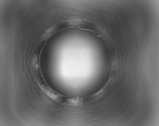 X0000079290187200611171101