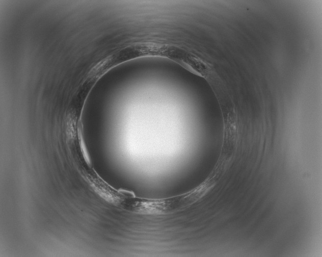 X0000079290188200611171101