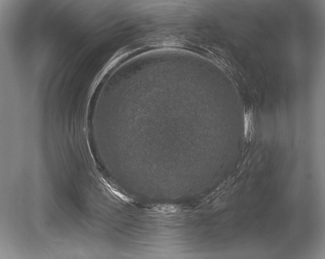 X0000079290195200611171100