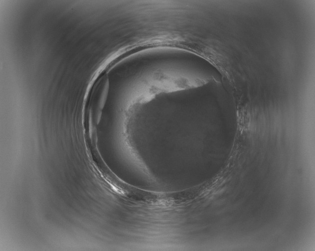 X0000079290196200611171100