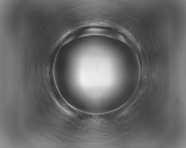 X0000079290201200611171100