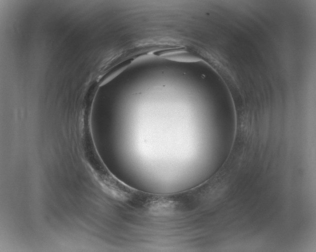 X0000079290206200611171100