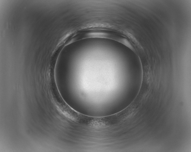 X0000079290207200611171100