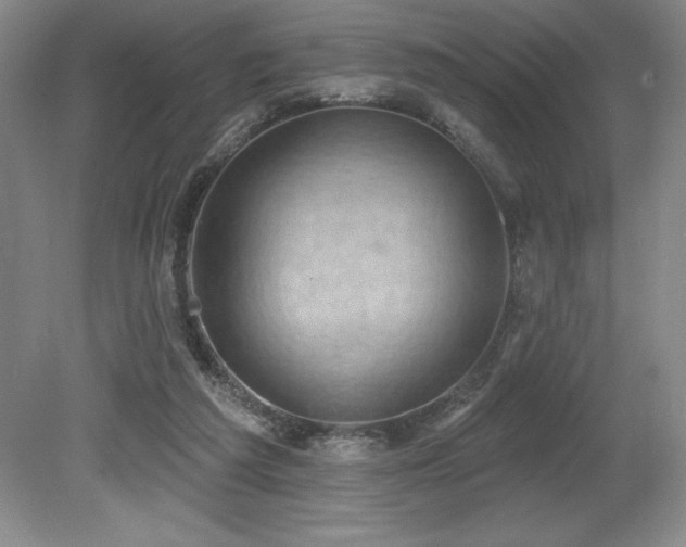 X0000079290209200611171100