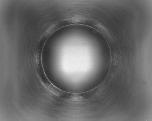 X0000079290210200611171100