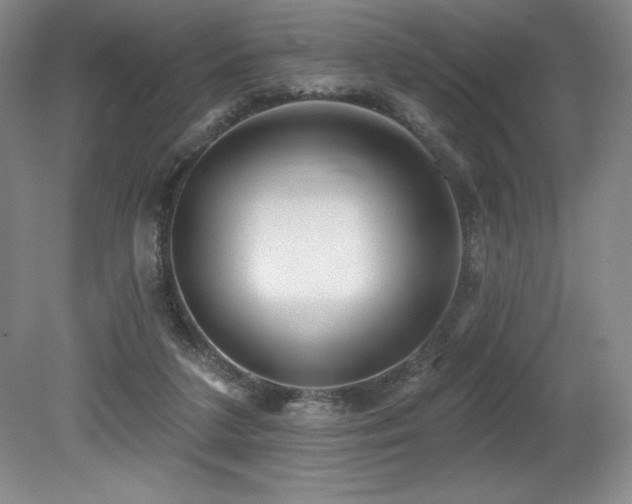 X0000079290211200611171100