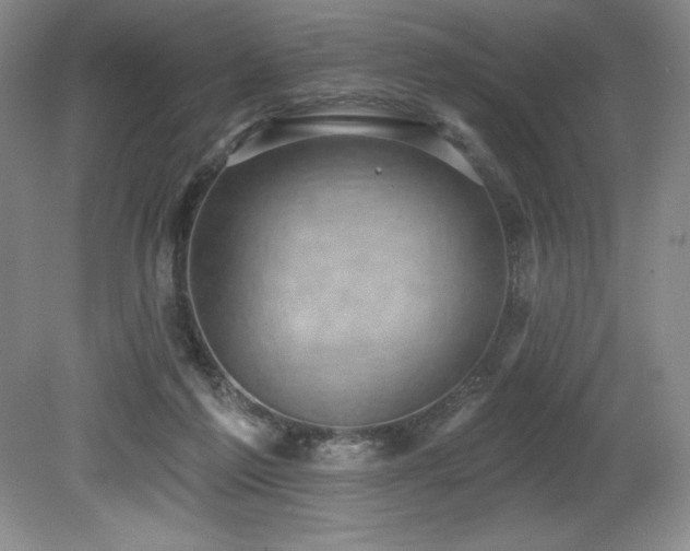 X0000079290213200611171100