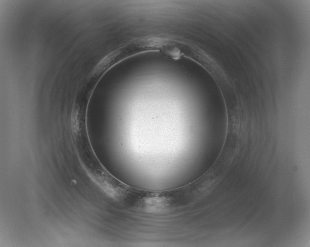 X0000079290216200611171100