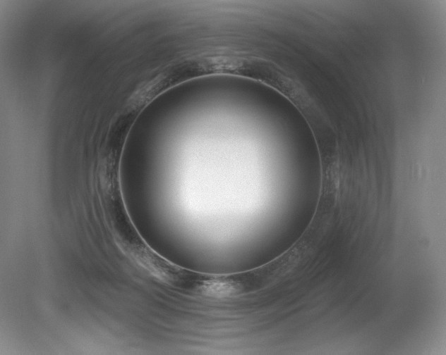X0000079290218200611171100