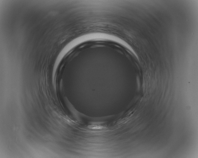 X0000079290219200611171100