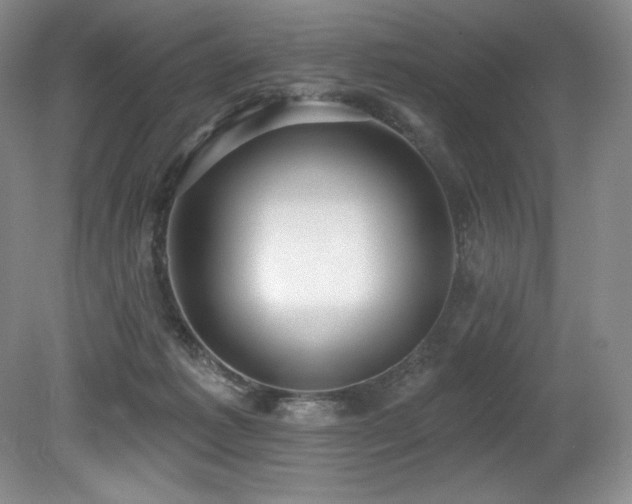 X0000079290221200611171059