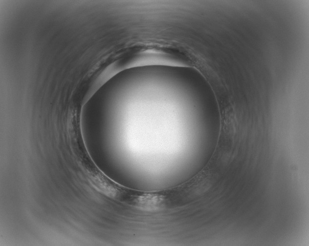 X0000079290225200611171059