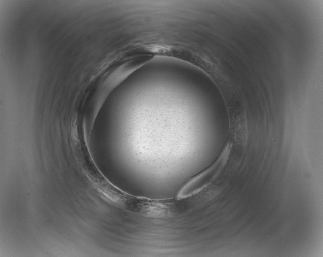 X0000079290229200611171059