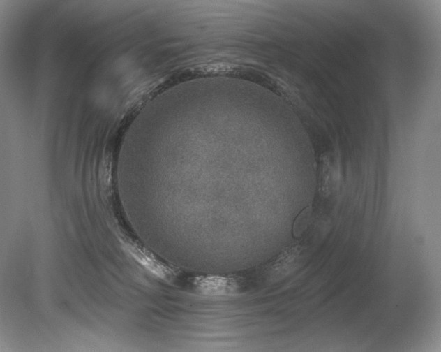 X0000079290230200611171059