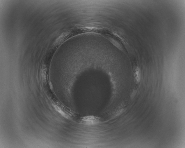 X0000079290231200611171059