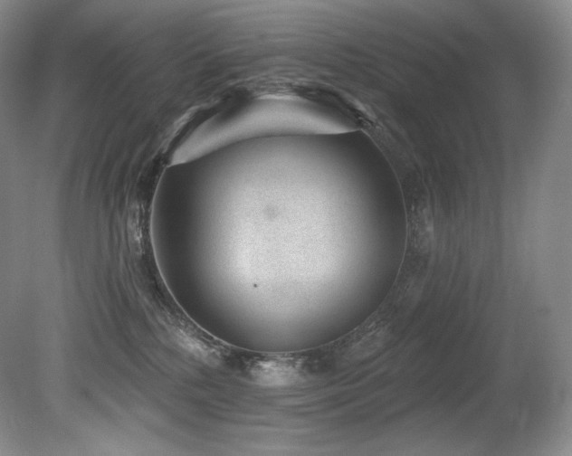 X0000079290232200611171059