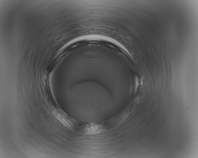 X0000079290235200611171059
